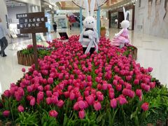 -凯德广场(西城店)