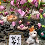 北京胡同四合院里，藏着一家倍儿地道的京城私房菜‼️