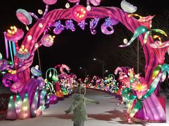 -沈阳奥体冰雪嘉年华
