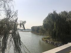 -大兴滨河森林公园