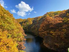 -洛阳白云山景区