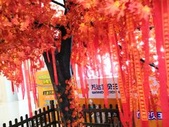 -山东农业大学(岱宗校区)