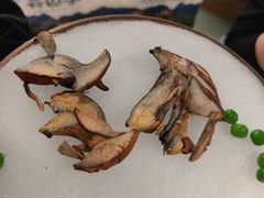 -芸山季·云南山珍菌火锅(南翔印象城MEGA店)