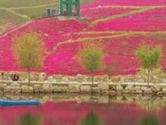 -威海华夏城景区