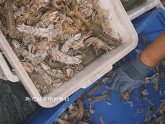 -旺角小渔村·海肠捞饭开创者(二马路店)