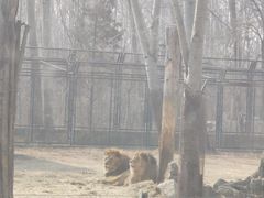 -秦皇岛野生动物园
