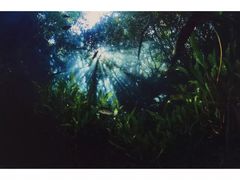 -曼谷文化艺术中心