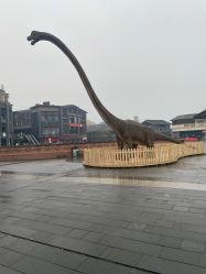 -恐龙探索乐园(磁器口店)