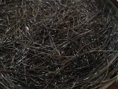 -舒小笼松针小笼包