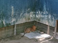 -中华郡文化旅游景区