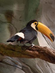 -Zoolung Zoolung动物主题公园(海信广场店)