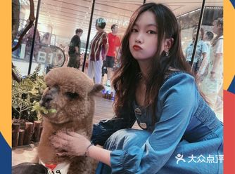 商场里面长出了一片原始森林，这段期间的熙地港也太好玩