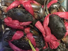 -传统香辣蟹(南园路店)