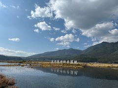-腾冲北海湿地