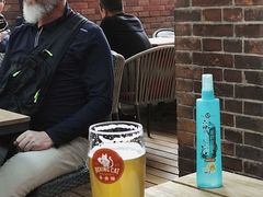 -Boxing Cat Brewery拳击猫精酿啤酒馆(永福店)