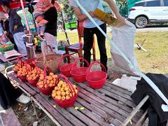 -塘栖枇杷特色园区