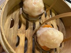 -金鼎轩(阜成门店)