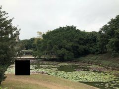 景点-四海公园(南山区)