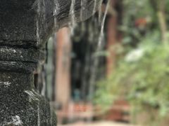 -宝莱纳啤酒花园餐厅PAULANER BRAUHAUS Nanjing(广州路店)