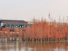 -白鹭湾湿地公园