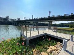 -广州市流溪河国家森林公园