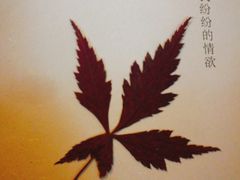 -二楼南书房