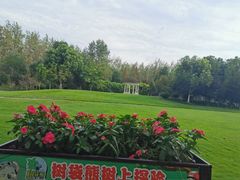 -合肥滨湖国家森林公园