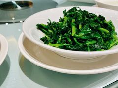 鸡油豆苗-利苑酒家(华熙国际店)
