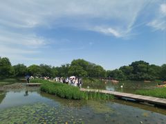 -西溪国家湿地公园