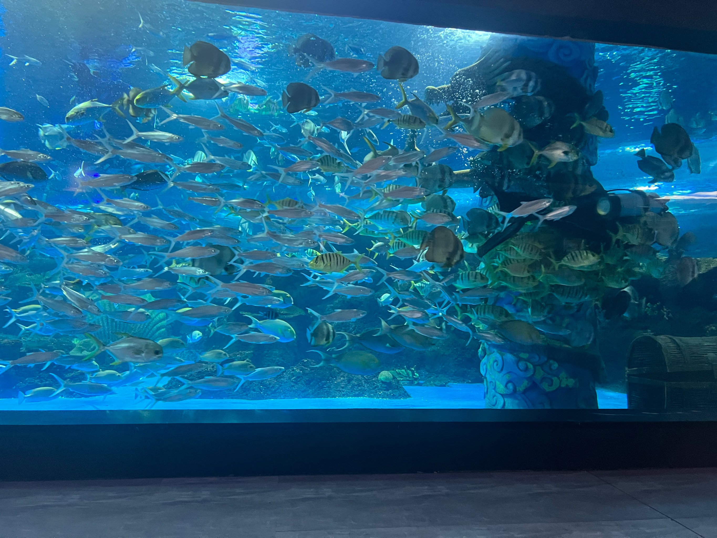 米加小镇水族馆图片