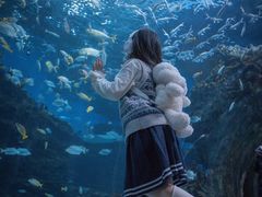 -海合安成都极地海洋公园