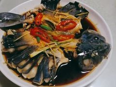 -煲来饱去冷水鱼