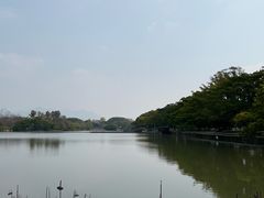 -江心屿景区