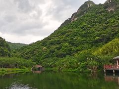 -广州市流溪河国家森林公园