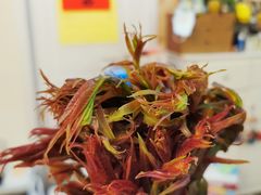 -盒马鲜生(杭州运河上街店)