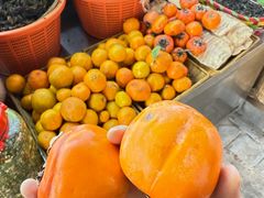 -雅和生态渔庄·宜城锅巴饭(龙灵山公园店)