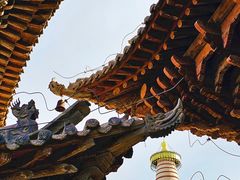 -张掖大佛寺景区