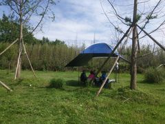 -桤木河湿地公园