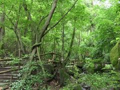 -昆明青龙峡风景区
