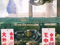 -荔城生鲜盛宴(番禺旗舰店)