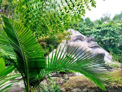 -西双版纳基诺山寨