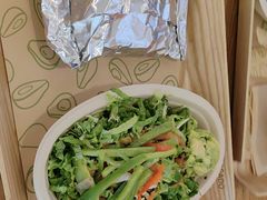 -油梨树 AVOCADO TREE(亮马桥店)