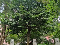 -广州神农草堂中医药博物馆