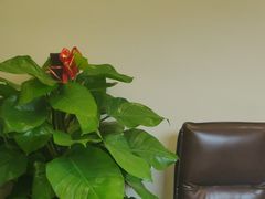 -茗丰茶艺馆(锦绣江南三期店)