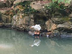-兰亭风景区