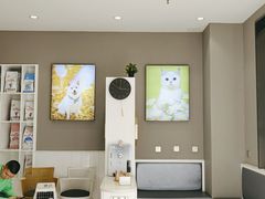 -关爱宠物医院·猫科中心·消化科(滨湖万达分院)