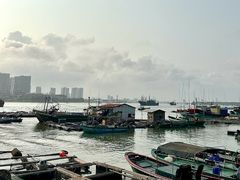 -东郊椰林