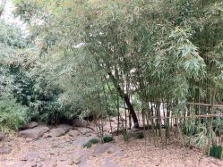 -BENSON沙龙
