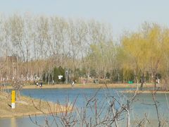 -东郊湿地公园