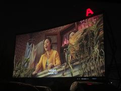 -枫花园汽车电影院(朝阳公园店)
